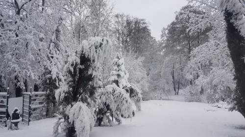 Najpiękniejsza działka w Łodzi plus dom Inwestycja