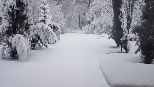 Najpiękniejsza działka w Łodzi plus dom Inwestycja