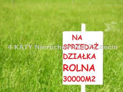 Działka na sprzedaż, 30000 m2, Przęsocin