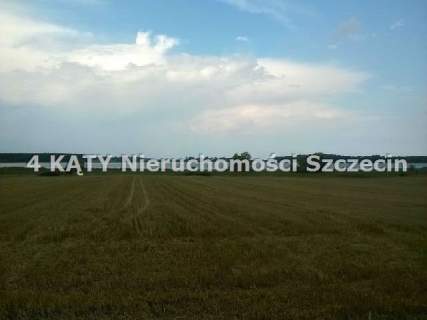 Tereny rekreacyjne z dostępem do plaży