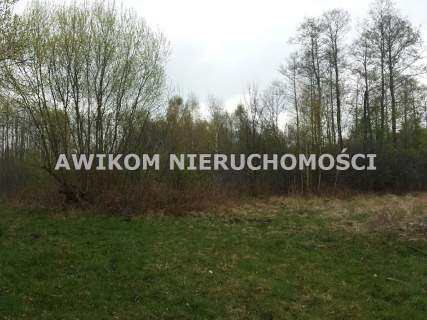 Działka budowlana na sprzedaż, 9300 m2, Stare Budy
