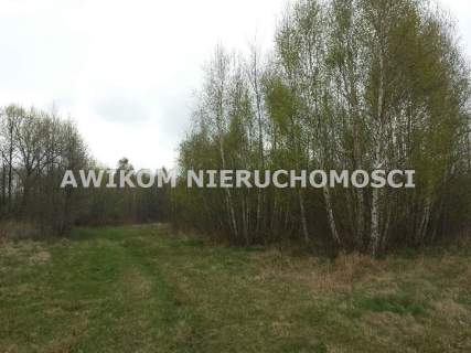 Działka budowlana na sprzedaż, 9300 m2, Stare Budy