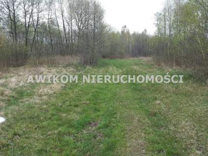 Działka budowlana na sprzedaż, 9300 m2, Stare Budy