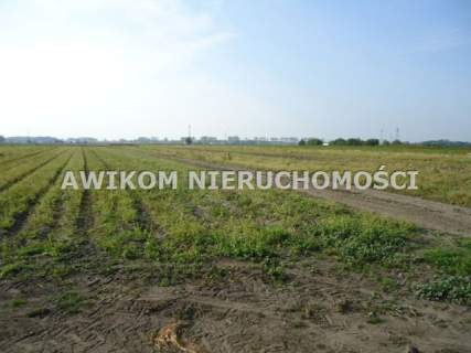 Działka budowlana na sprzedaż, 90000 m2, Chlebnia