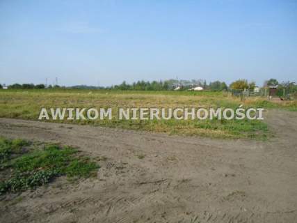 Działka budowlana na sprzedaż, 90000 m2, Chlebnia