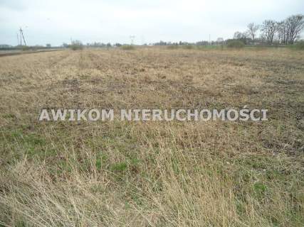 Działka siedliskowa na sprzedaż, 3152 m2, Wola Łuszczewska