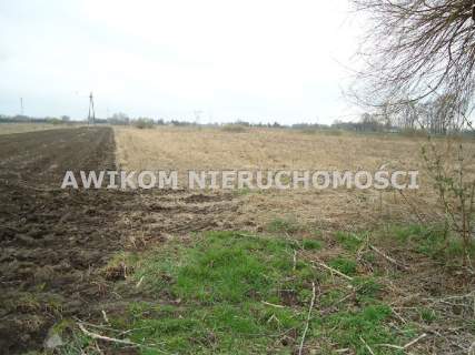 Działka siedliskowa na sprzedaż, 3152 m2, Wola Łuszczewska