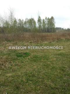 Działka budowlana na sprzedaż, 9300 m2, Stare Budy