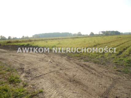 Działka budowlana na sprzedaż, 90000 m2, Chlebnia