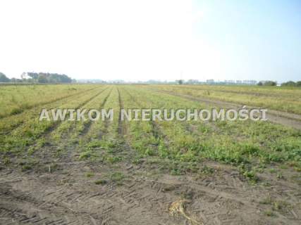 Działka budowlana na sprzedaż, 90000 m2, Chlebnia