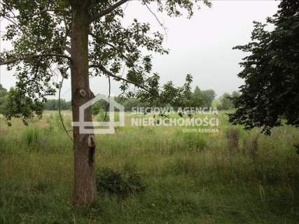 Działka inwestycyjna na sprzedaż, 6700 m2, Bolesławice