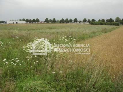 Działka inwestycyjna na sprzedaż, 6700 m2, Bolesławice