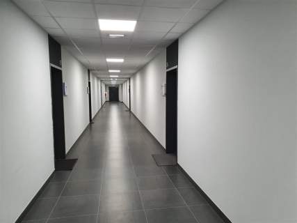 Biuro do wynajęcia, 500 m2, Szczecin