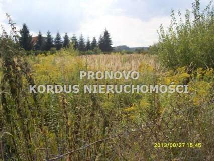 Działka inwestycyjna na sprzedaż, 6000 m2, Szczecin