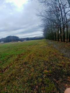 Działki budowlane przy lesie