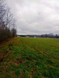 Działki budowlane przy lesie