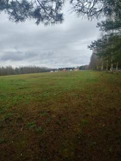 Działki budowlane przy lesie