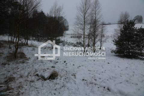 Działka rolna na sprzedaż, 10000 m2, Niesiołowice