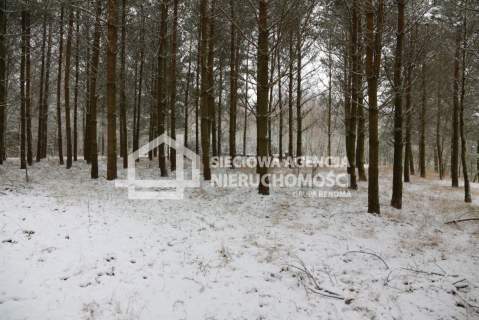 Działka rolna na sprzedaż, 10000 m2, Niesiołowice
