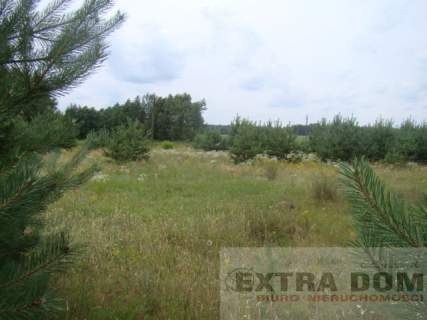Działka na sprzedaż, 3000 m2, Kościuszki