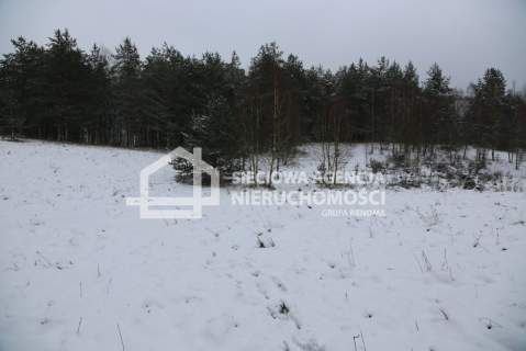 Działka rolna na sprzedaż, 10000 m2, Niesiołowice