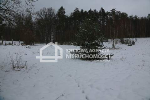 Działka rolna na sprzedaż, 10000 m2, Niesiołowice