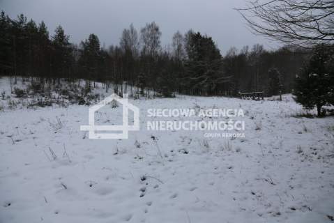 Działka rolna na sprzedaż, 10000 m2, Niesiołowice