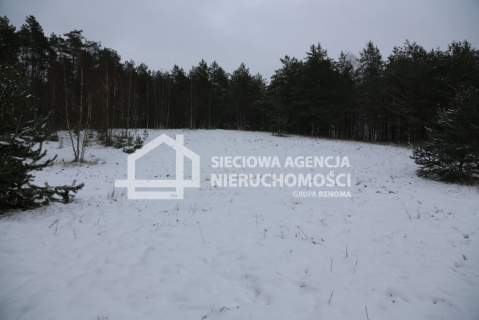 Działka rolna na sprzedaż, 10000 m2, Niesiołowice
