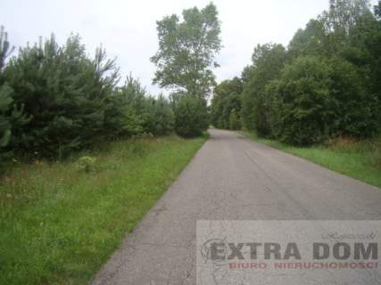 Działka na sprzedaż, 3000 m2, Kościuszki