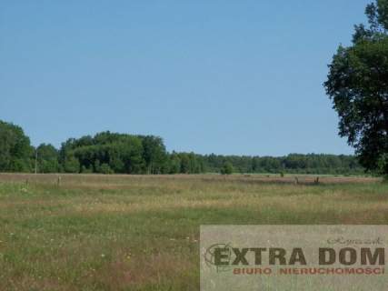 Działka siedliskowa na sprzedaż, 20000 m2, Budno