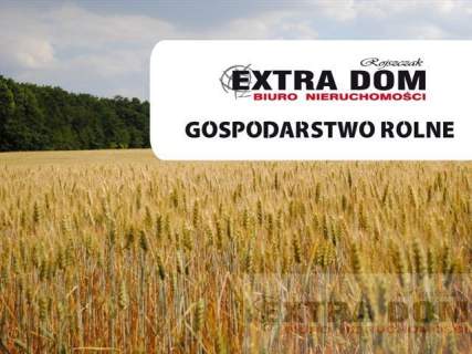 Działka na sprzedaż, 16700 m2, Kościuszki