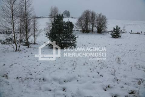 Działka rolna na sprzedaż, 10000 m2, Niesiołowice