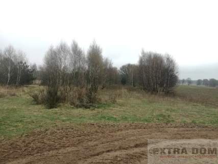 Działka rolna na sprzedaż, 20800 m2, Karsk