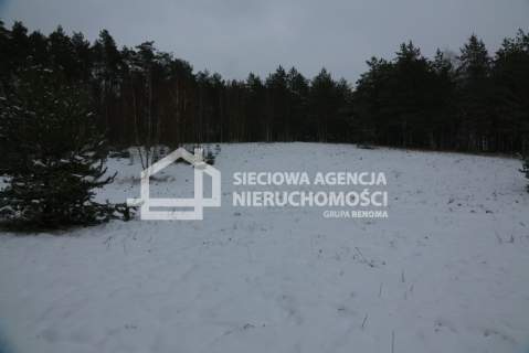 Działka rolna na sprzedaż, 10000 m2, Niesiołowice