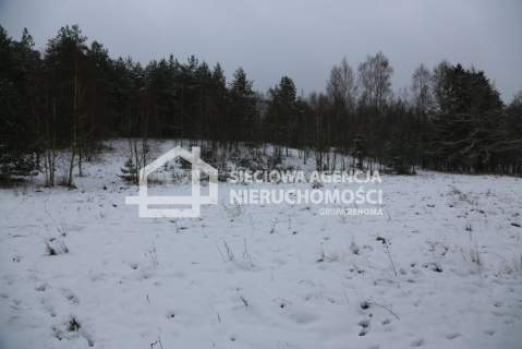 Działka rolna na sprzedaż, 10000 m2, Niesiołowice