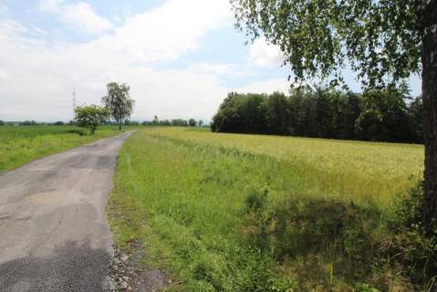 Działka pod usługi.