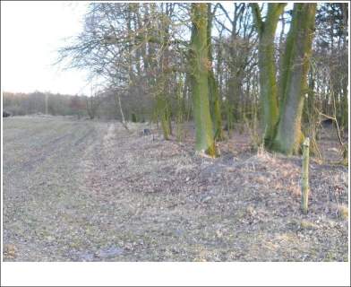 Działka ROLNA w Trzeszczynie 4,11ha