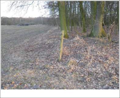 Działka ROLNA w Trzeszczynie 4,11ha