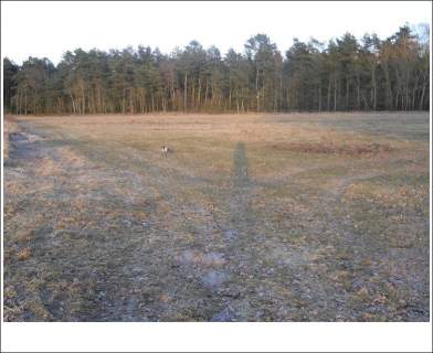 Działka ROLNA w Trzeszczynie 4,11ha