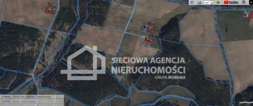 nieruchomość rolno-leśna w Zieleninie