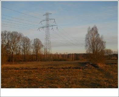 Działka ROLNA w Trzeszczynie 4,11ha