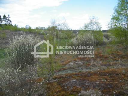 Atrakcyjna działka leśna 20250m2, Huta Kalna