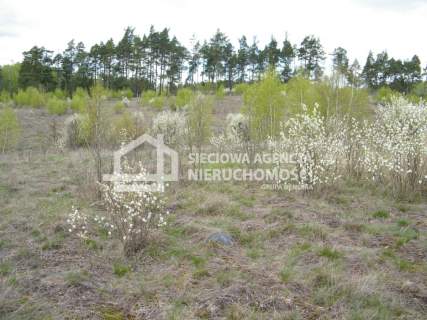 Atrakcyjna działka leśna 20250m2, Huta Kalna