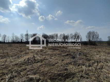 Atrakcyjna działka rolna 3,7675ha poł. w Rekcinie