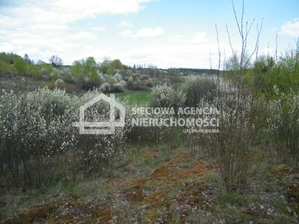 Atrakcyjna działka leśna 20250m2, Huta Kalna