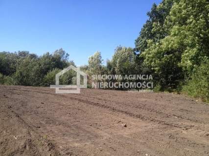 Atrakcyjna działka rolna 3,7675ha poł. w Rekcinie