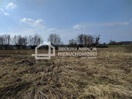 Atrakcyjna działka rolna 3,7675ha poł. w Rekcinie