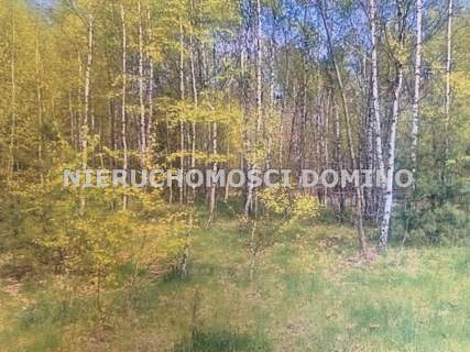 Działka na sprzedaż, 2100 m2, Różyca