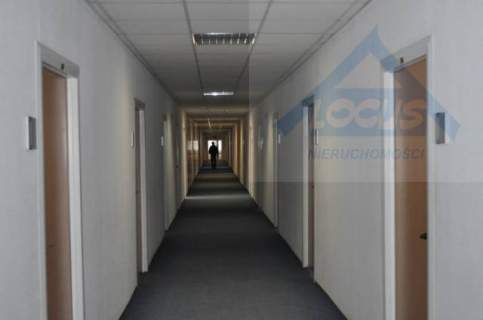 Do wynajęcia moduł biurowy 52 m2