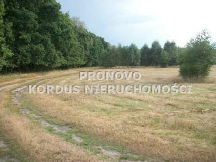 Działka budowlana na sprzedaż, 1000 m2, Smogolice
